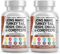 Lions Mane 20In1 Mushroom Supplement with Turkey Tail Reishi Cordyceps Chaga Maitake Meshima Poria Cocos Shiitake Oyster Porcini Enoki - 2Pack